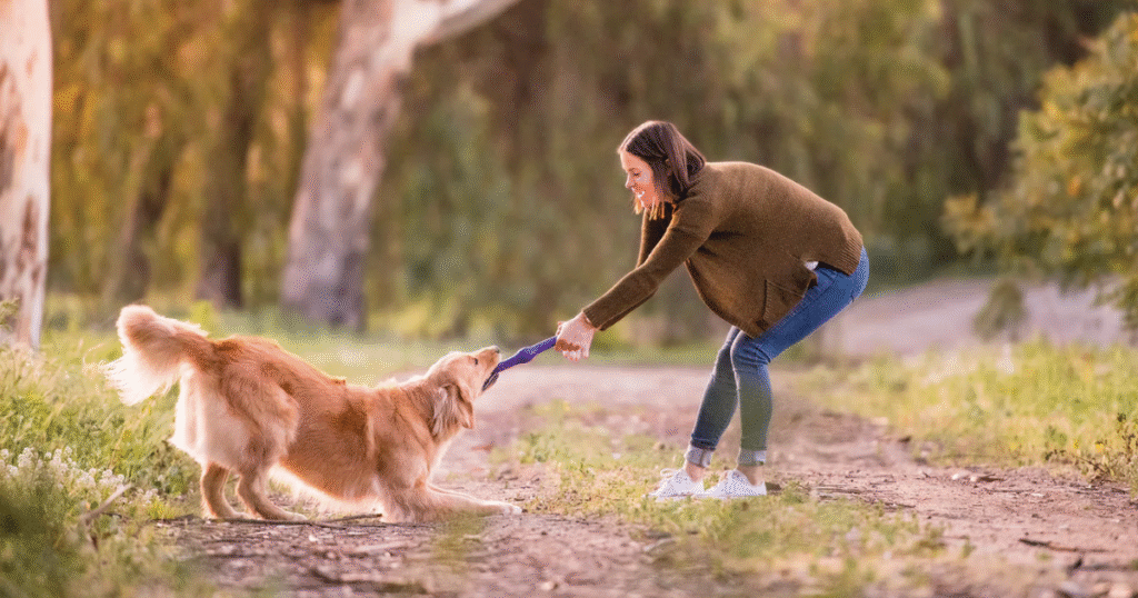 Harness the Power of Reward-Based Training with Patience and Creativity
