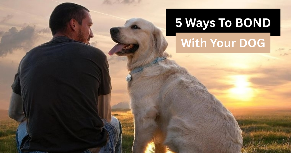 5 Powerful Ways to Bond With Your Dog and Build an Unbreakable Relationship