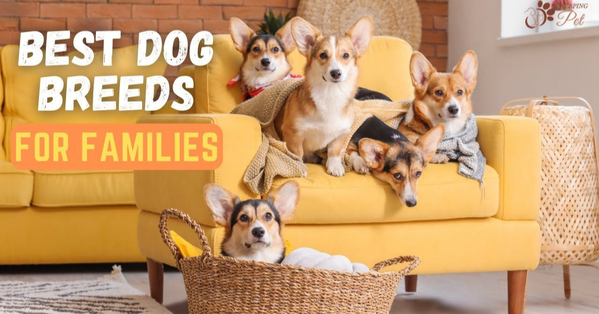 Top 10 Best Dog Breeds for Families in 2025 (Gentle & Kid-Friendly Picks)