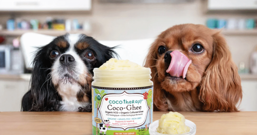 5 Way to Use Coconut oil for Dog